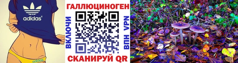 Галлюциногенные грибы Cubensis  Люберцы 